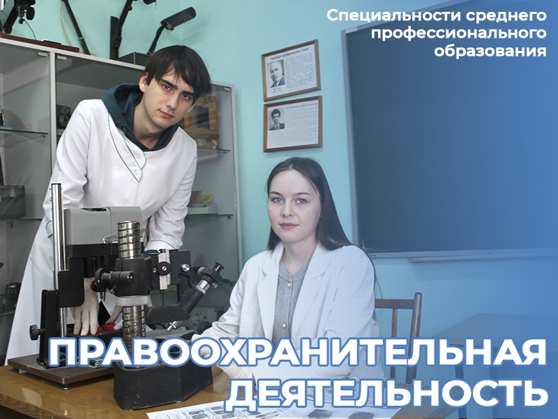 Правоохранительная деятельность